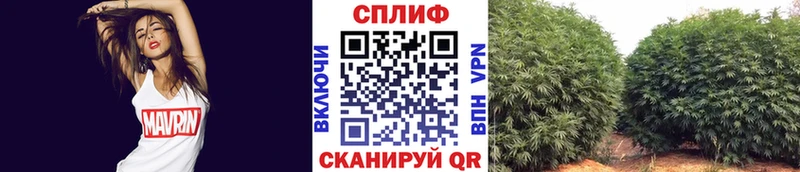Как найти закладки Козьмодемьянск ГАШИШ Галлюциногенные грибы Меф мяу мяу MDMA A-PVP Кокаин