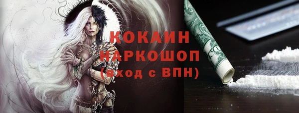 индика Арсеньев