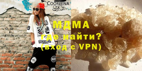 индика Арсеньев