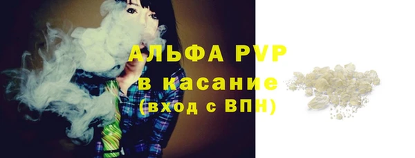 индика Арсеньев