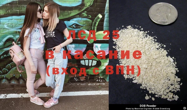 PSILOCYBIN Аркадак