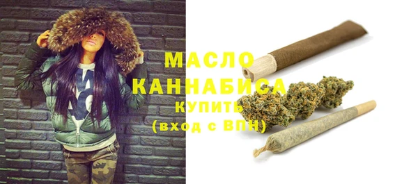 индика Арсеньев