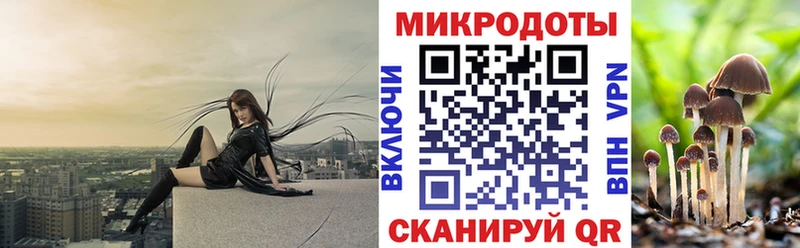Псилоцибиновые грибы мухоморы  Козьмодемьянск 